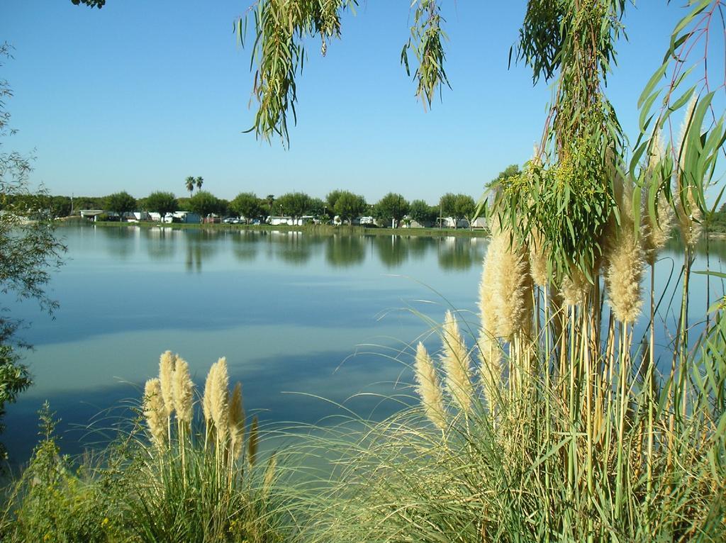 Nicolaus Lake Minden Camping Resort Cottage 2 מראה חיצוני תמונה