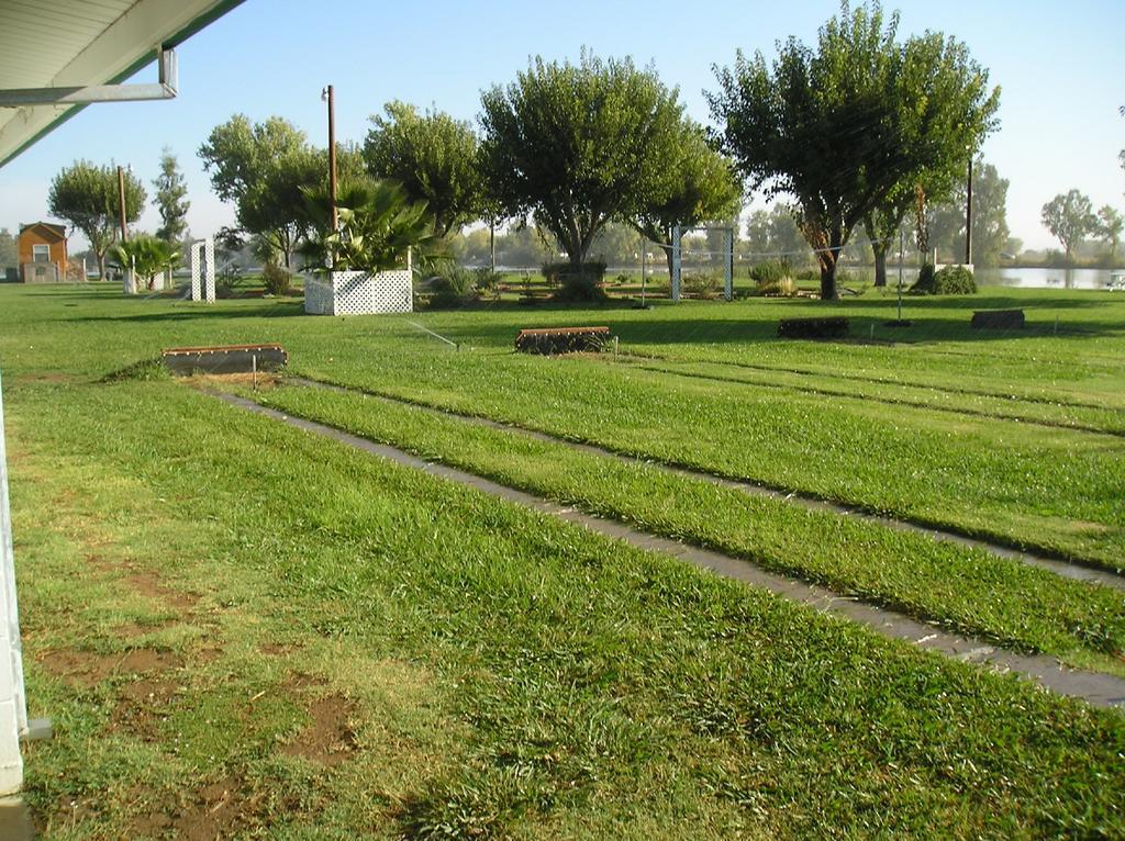 Nicolaus Lake Minden Camping Resort Cottage 2 מראה חיצוני תמונה